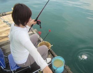 女性も楽しいチヌ釣り。